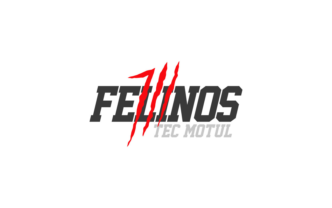 logo_felinos_1